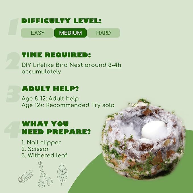 CHARTEKS DIY Bird Nest Craft Kit with 30 Twinkle LEDs and Simulated Eggs – Natural String Art Set for Home Décor, Kids STEM Toy, Creative Birthday Gift for Boys Girls Age 8+