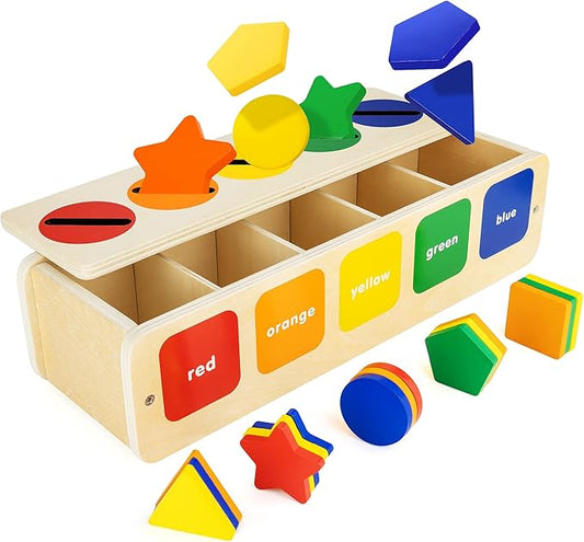 Wooden Montessori Toy for 1 2 Year Old, Shape & Color Sorting Matching Toy with Box for Toddlers 1-3, for 1 2 3 Year Old Boy Girl Gifts