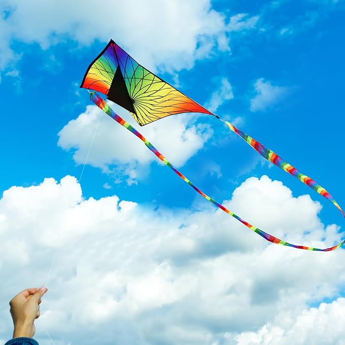 HONBO Large Delta Kite for Kids & Adults,Extremely Easy to Fly Kite for Beach Trip,String Line Included,with Colorful Tail,Perfect for Beginners