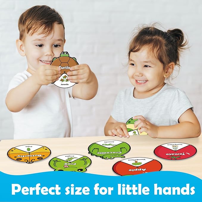 Life Cycle Toys for Kids,Animal Plant Insect Bug Ladybug Butterfly Tadpole to Frog Kit,Montessori Learning & Education Toys,Preschool Science Learning Activities for Toddlers,Board Card Games