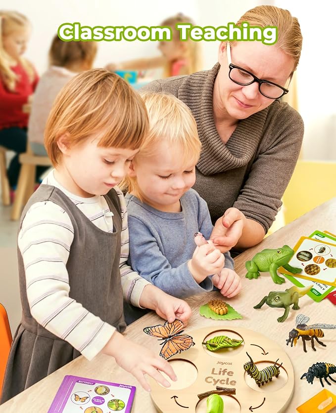 JoyCat Life Cycle Learning Education Toys, Insect Caterpillar to Butterfly kit, Ladybug, Bee, Tadpole to Frog Kit Life Cycle Toys for Kids, Preschool Learning Activities for Kids (Animals and Plant)