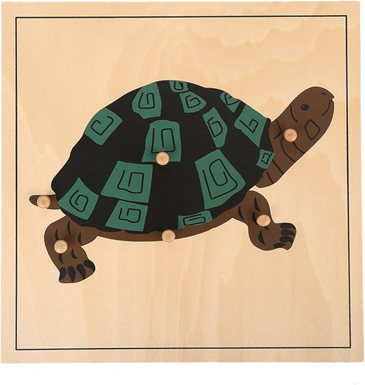 MEYOR Montessori Turtle Puzzle for Early Preschool Education Learning Toy