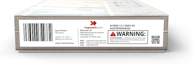 MyPuzzle Alaska: Eagle, Vintage Poster - Premium 100 Piece Jigsaw Puzzle for Adults