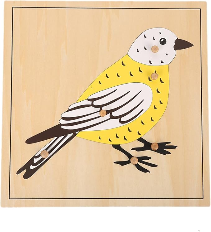 MEYOR Montessori Bird Puzzle for Early Preschool Education Learning Toy