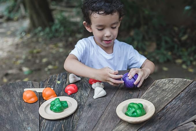 PLAN TOYS Plantoys- Eco-Friendly Educational Toy, Multi-Color (3431)