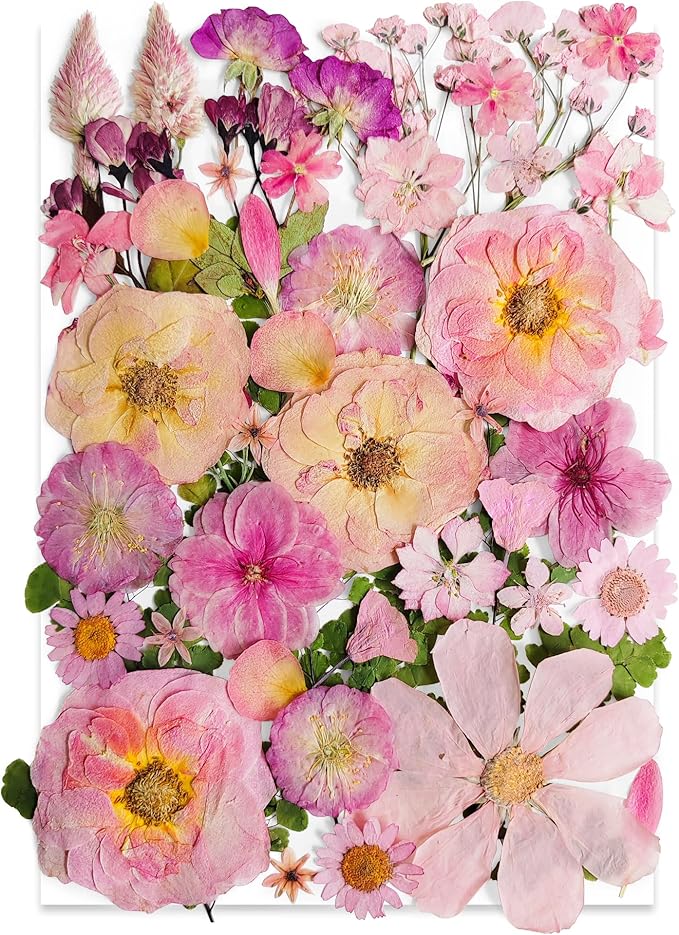 Pink Dried Pressed Flower for Resin,Real Nature Pressing Floral Leaves for DIY Craft, Mold, Jewelry Making, Candle Scrapbooking Supplies