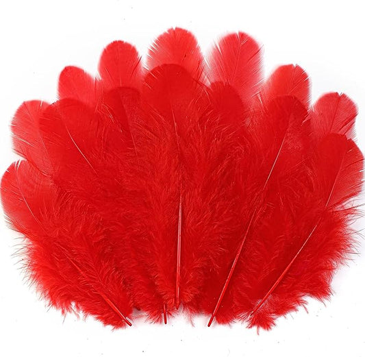 Soarer Red Craft Feathers Bulk - 300pcs 3-5inch Natural Feathers for Wedding Home Party, Dream Catcher Supplies and DIY Crafts(Red)