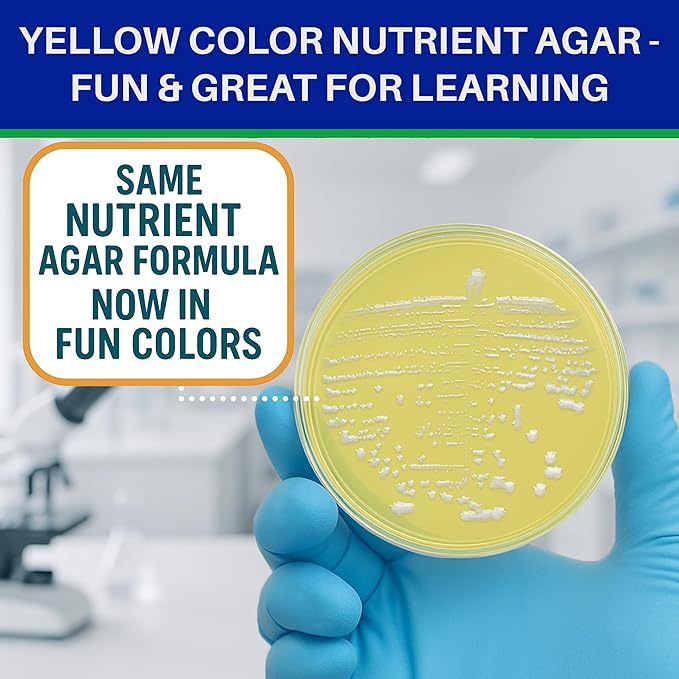 Evviva Sciences Nutrient Agar Petri Dishes Science Project Kit, Pre-Poured Agar Plates for Science Experiments, with Experiment eBook (Yellow)