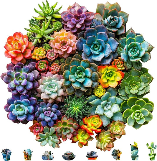 Mys Aurora Succulent Wooden Puzzles for Adults, 500 Piece Unique Shaped Wood Jigsaw Puzzles for Adults and Kids, Fun Challenging Puzzles Family Game Gift, Medium 16.9'' x 16.5''