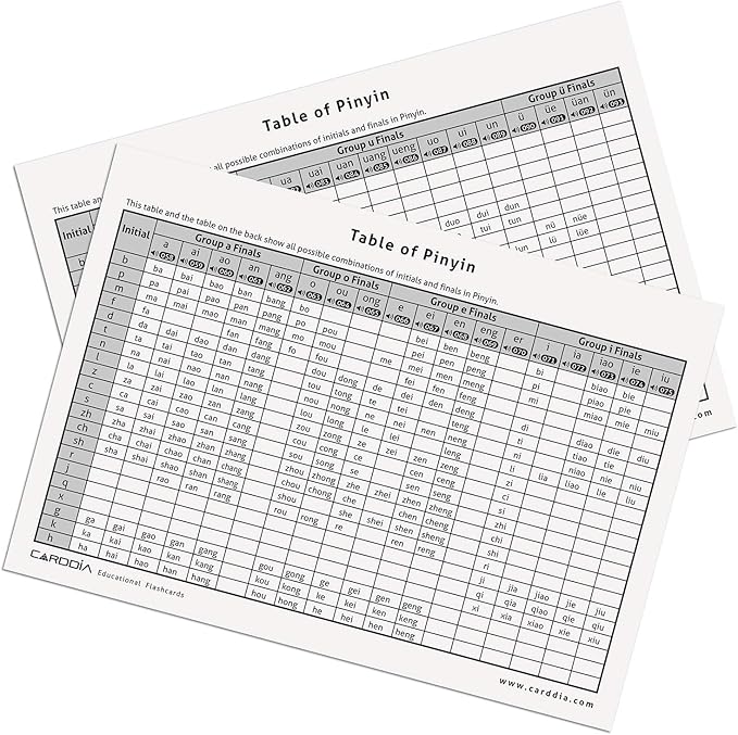 CARDDIA Chinese Mandarin Pinyin Flashcards with Audio MP3 - Comprehensive Learning Kit for Beginners and Enthusiasts, Durable & Portable