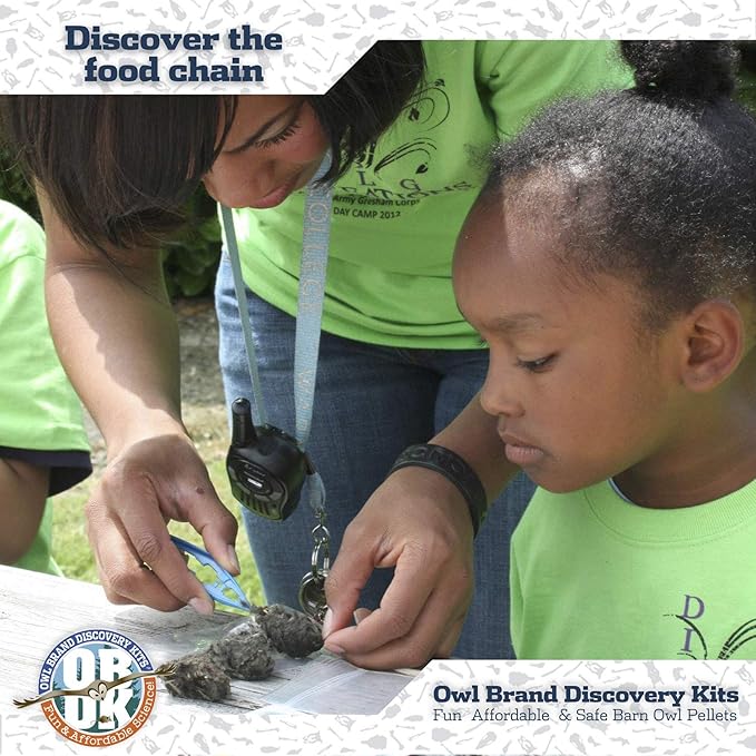 OBDK Barn Owl Pellets for Dissection - 1 Pack Medium Sized (1.5"-2.0") with Tools, Guide and Charts from Owl Brand Discovery Kits