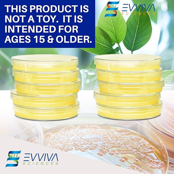 Evviva Sciences Nutrient Agar Petri Dishes Science Project Kit, Pre-Poured Agar Plates for Science Experiments, with Experiment eBook (Yellow)