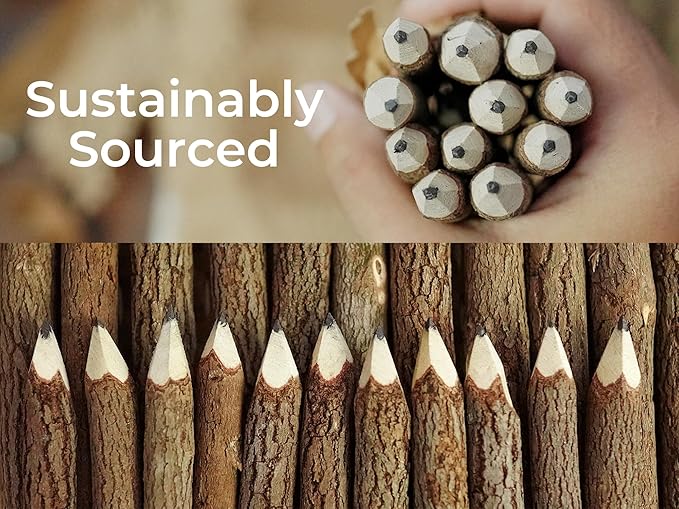 BSIRI Black Pencils Wood Pack of 12 in 7 Inch Tree Bark Wooden Favors in Rustic Twig Pencils Unique Gifts Camping Lumberjack Decorations Party Supplies Novelty Gifts as Natural Pencil