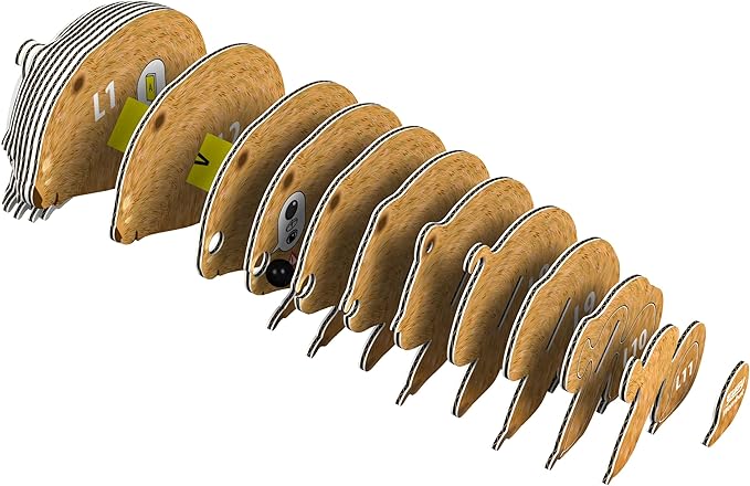 EUGY Wombat 3D Puzzle, 36 Piece Eco-Friendly Educational Toy Puzzles for Boys, Girls & Kids Ages 6+