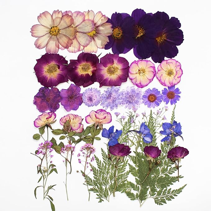 Large Purple Dried Pressed Flower for Crafts, Large Big Real Nature Dry Pressed Flowers for Resin Molds Candle Making Phone Cases DIY Art Crafts Jewelry Making