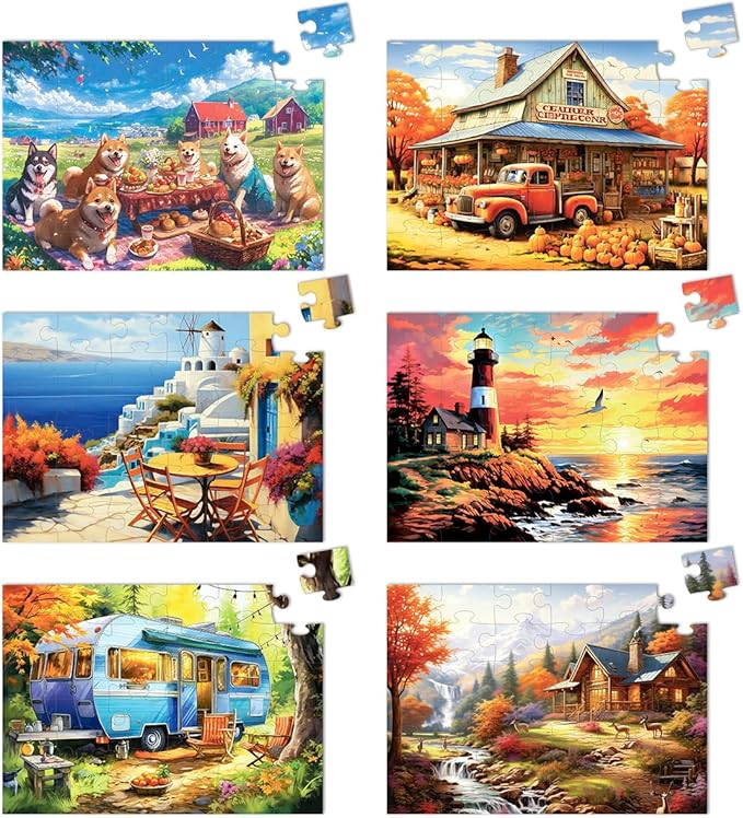 6 Pack 36 Large Piece Jigsaw Puzzles for Seniors Alzheimer Product for Elderly Dementia Activities Memory Game for Patients in Nursing Home with Storage Box