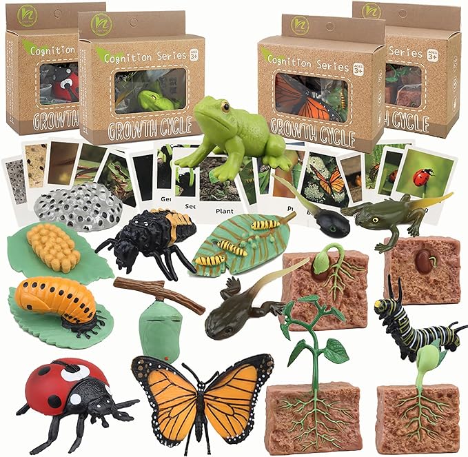 Mbrain Life Cycle Learning & Education Toys,Montessori Toys Figurines for Frog, Butterfly, Ladybug,Plants Kit,Gift for Girl & Boy for 3 4 5 Year Old