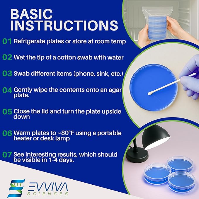 Evviva Sciences Nutrient Agar Petri Dishes Science Project Kit, Pre-Poured Agar Plates for Science Experiments, with Experiment eBook (Blue)