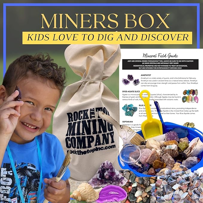 Gemstone Paydirt Geodes for Kids Break Open Science Kits for Kids Age 8-12 Shark Teeth Fossil Digging Kit for Educational Toys, Rock Collections for Mining Bucket Rock Collection