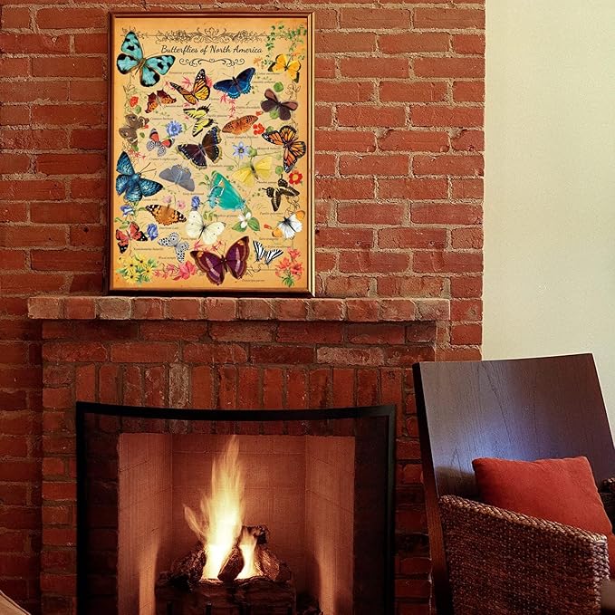 500 Piece Puzzles for Adults Butterflies of North America 20.5 x 15 Inch 500 Piece Jigsaw Puzzles for Kids Adults Puzzles 500 Pieces for Adults Holiday Educational Challenge Toy