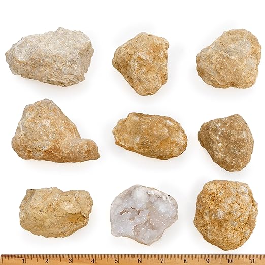 DANCING BEAR 8 XL Break Your Own Geodes, (2.5-3.5") 90% Hollow, Crack Open & Discover Amazing Surprise Crystals Inside! Educational Info and Instructions Included, Fun Party Favors & Prizes