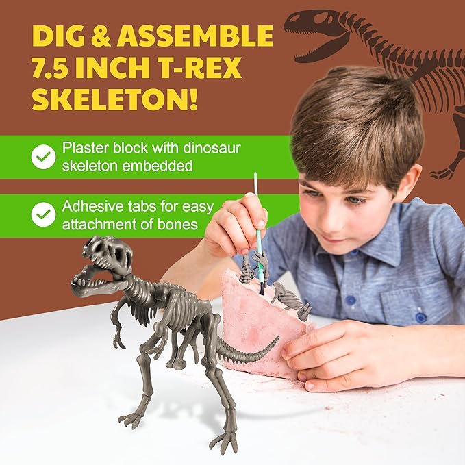 4M - STEAM Dinosaur World - Dig & Assemble Jurassic World Dinosaur Toys Volcano, Build Prehistoric Diorama, Includes Fossil Excavation Tools & Toy Dinosaurs - STEM Learning Kit for Kids Ages 5+