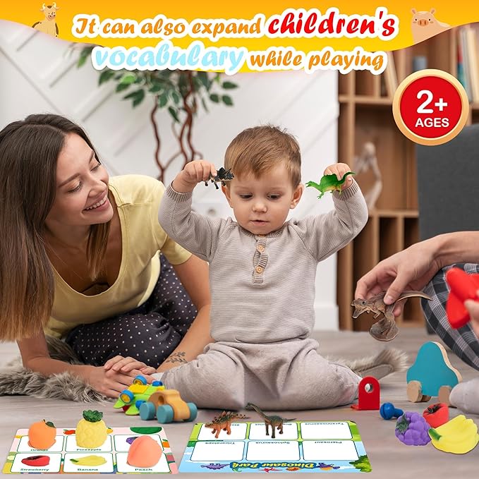Sorting Toys for Toddlers, Learning Education Toys Montessori, Multiple Theme Playset, Fine Motor Skills Games, Preschool Learning Activities Sensory Toys for 2+ Year Old Kids Boys and Girls