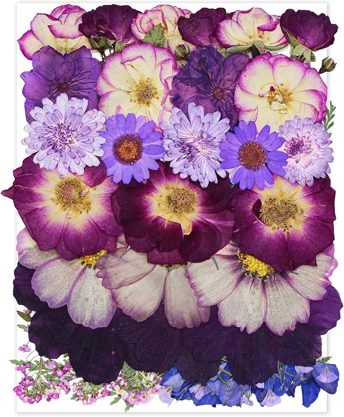 Large Purple Dried Pressed Flower for Crafts, Large Big Real Nature Dry Pressed Flowers for Resin Molds Candle Making Phone Cases DIY Art Crafts Jewelry Making