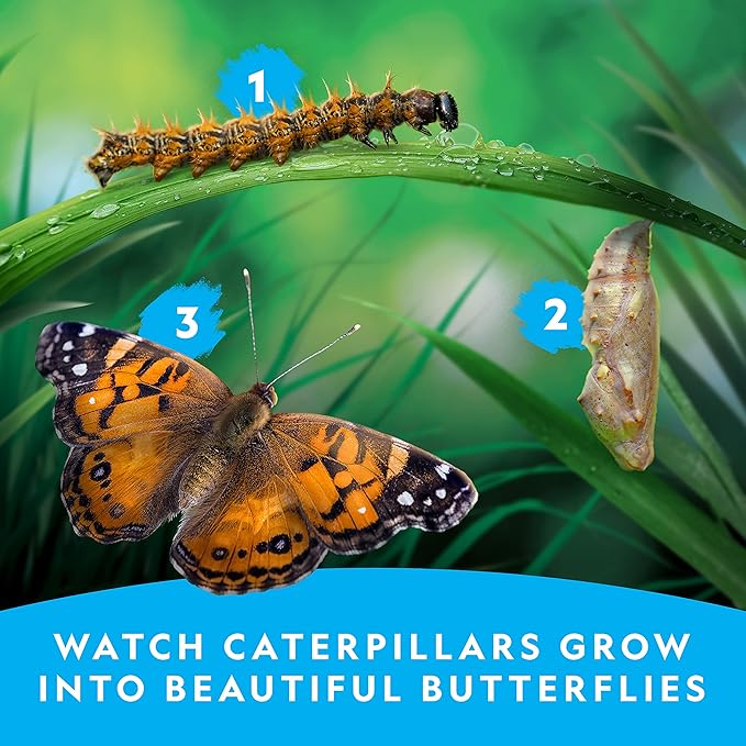 National Geographic Butterfly Growing Kit - Butterfly Habitat Kit with Voucher to Redeem 5 Caterpillars (S&H Not Included), Butterfly Cage, Feeder (Amazon Exclusive)