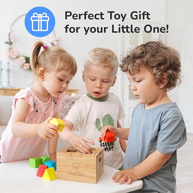 Bimi Boo Wooden Shape Sorter Toy for Babies - Premium Simple Sorting Box with Noise-Reducing Silicone Pad - Classic Montessori Toy for Toddlers (8 Various Blocks, 1 Box, 1 Silicone Pad)