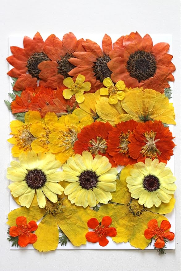Large Fall Autumn Dried Pressed Flower for Resin, Big Real Nature Pressing Floral Leaves for DIY Craft, Mold, Jewelry Making, Candle Scrapbooking Supplies