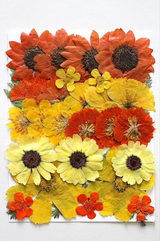 Large Fall Autumn Dried Pressed Flower for Resin, Big Real Nature Pressing Floral Leaves for DIY Craft, Mold, Jewelry Making, Candle Scrapbooking Supplies