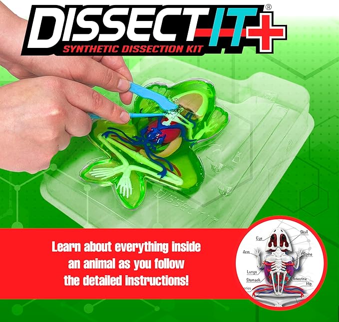 Dissect-It Upgraded Frog Dissection Toy Kit, Lab Experience Simulation Toys, STEM Toys for Animal Science, Anatomy, and Home Learning