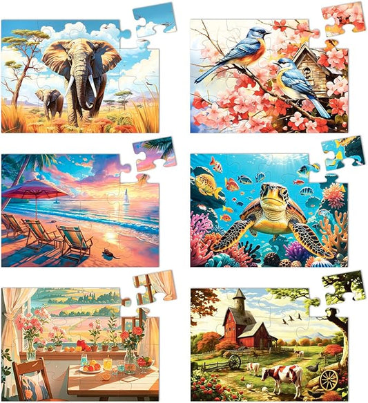 6 Pack 16 Large Piece Jigsaw Puzzles for Seniors Alzheimer Product for Elderly Dementia Activities Memory Game for Patients in Nursing Home with Storage Box