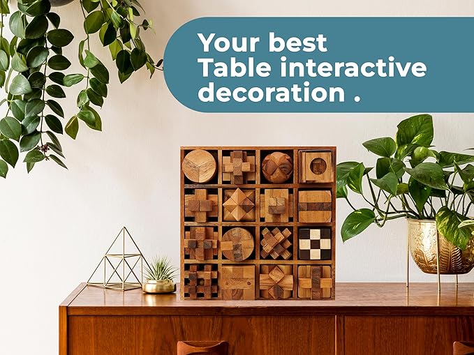 BSIRI 16 in 1 Wooden Brain Teaser Puzzles for Adults and Teens or Kids Interlocking 3D Mini Wood Mind Games Hand Puzzle Teasers Set Toys Coffee Table Games Gift