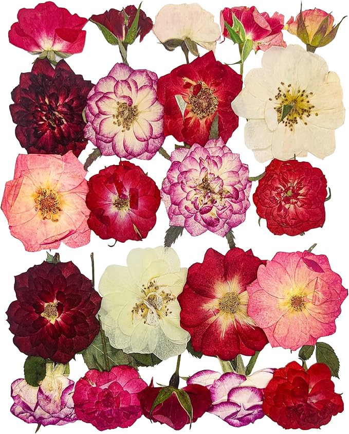 Rose Pressed Flowers for Crafts,TrendCart Real Natural Dry Pressed Flowers for Resin Molds Nails Art Candle Making Phone Cases DIY Art Crafts Jewelry Making