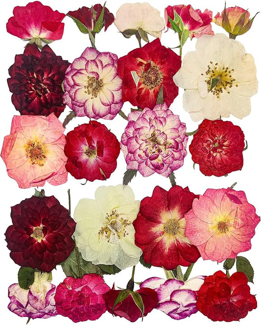 Rose Pressed Flowers for Crafts,TrendCart Real Natural Dry Pressed Flowers for Resin Molds Nails Art Candle Making Phone Cases DIY Art Crafts Jewelry Making