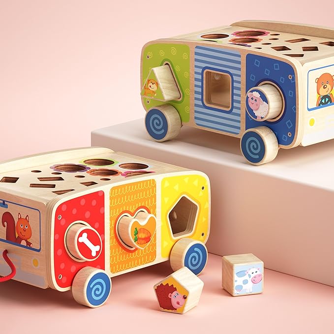 Dailyfunn Montessori Wooden Farm Toys for Babies Toddlers Boys Girls 1-3 Years Old 1st First Birthday Gifts| Fine Motor Skills Developmental Fishing Game Carrots Harvest Game Shape Sorter