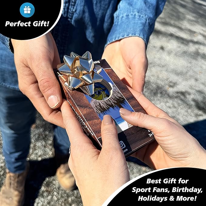 Coinhole Desktop Coin Bouncing Party Game Set | Tabletop Cornhole Board Game | Small Cornhole Travel Game Includes Coins