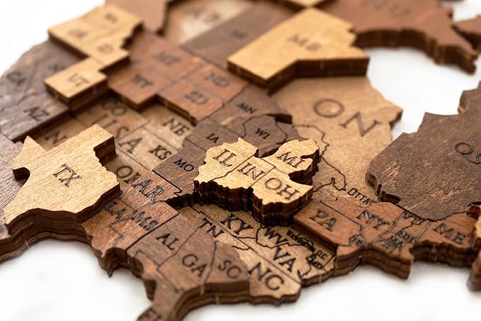 EWA Eco-Wood-Art - Wooden Puzzles for Interior and Design - World map - Souvenir, Gift, Kitchen, Home Decor, Interior (Choco World 114 Pieces)