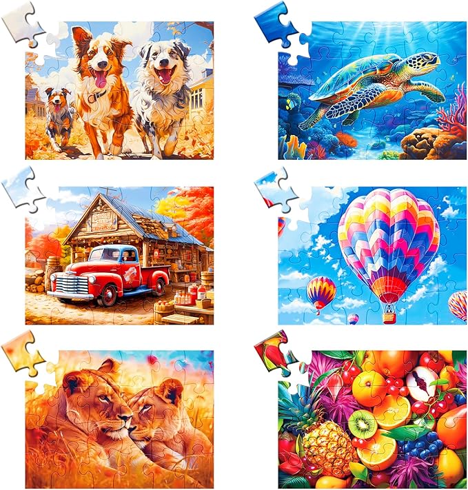 24 Large Piece Puzzle for Seniors 6 Pack Puzzles Dementia Alzheimer's Products and Activities for The Elderly Adults Puzzle Alzheimer's Easy Puzzles Gift Memory Games for Patients, 6 Storage Bag