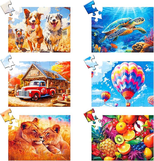 24 Large Piece Puzzle for Seniors 6 Pack Puzzles Dementia Alzheimer's Products and Activities for The Elderly Adults Puzzle Alzheimer's Easy Puzzles Gift Memory Games for Patients, 6 Storage Bag