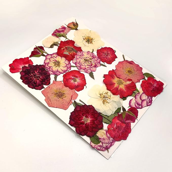 Rose Pressed Flowers for Crafts,TrendCart Real Natural Dry Pressed Flowers for Resin Molds Nails Art Candle Making Phone Cases DIY Art Crafts Jewelry Making