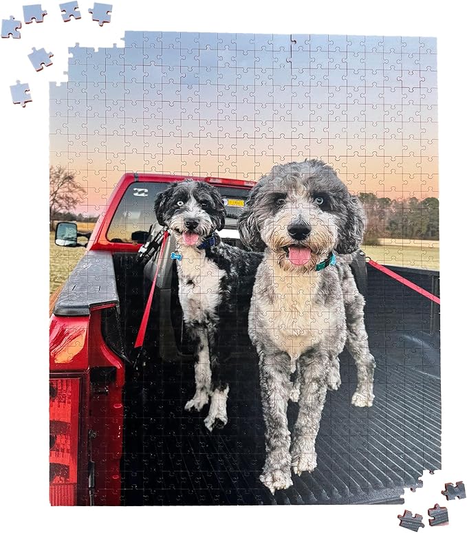Custom Pet Photo Puzzle from Picture | Upload Your Photo and Choose Color | 567 Piece Personalized Puzzle for Dog Lover | Adults Teen Acrylic Puzzle Birthday Gifts for Men Women Preteen