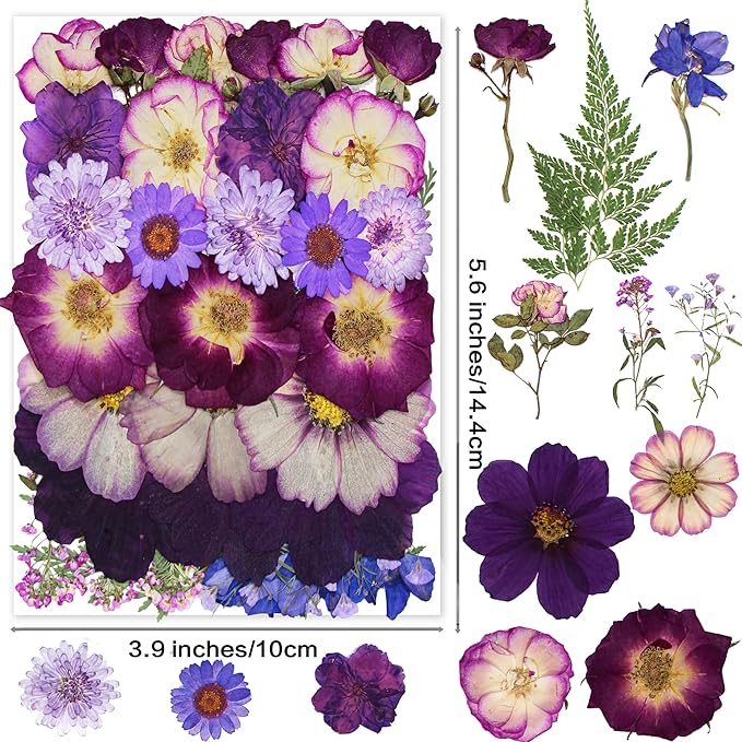 Large Purple Dried Pressed Flower for Crafts, Large Big Real Nature Dry Pressed Flowers for Resin Molds Candle Making Phone Cases DIY Art Crafts Jewelry Making