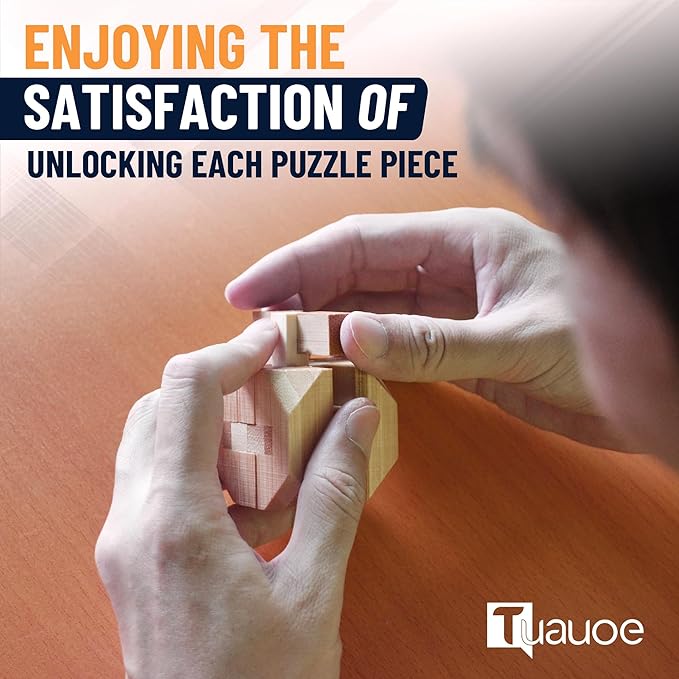 Wooden Brain Teaser Puzzles, 12pcs 3D Brain Teasers for Adults Teens Kids, Logic Mind Puzzle Box Lock Toy Removing Assembling 3D Small Puzzle Gift Set, Small 3D Unique IQ Hand Puzzles