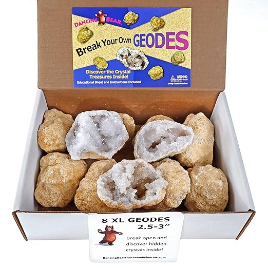 DANCING BEAR 8 XL Break Your Own Geodes, (2.5-3.5") 90% Hollow, Crack Open & Discover Amazing Surprise Crystals Inside! Educational Info and Instructions Included, Fun Party Favors & Prizes