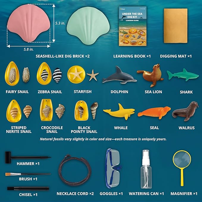 Under-The-Sea Dig Kit – Dig & Discover 18 Real Shell Fossils, Amber Jewelry & Sea Animal Creatures – Ocean Necklace Making & STEM Excavation Activity Toy for Kids Ages 6+