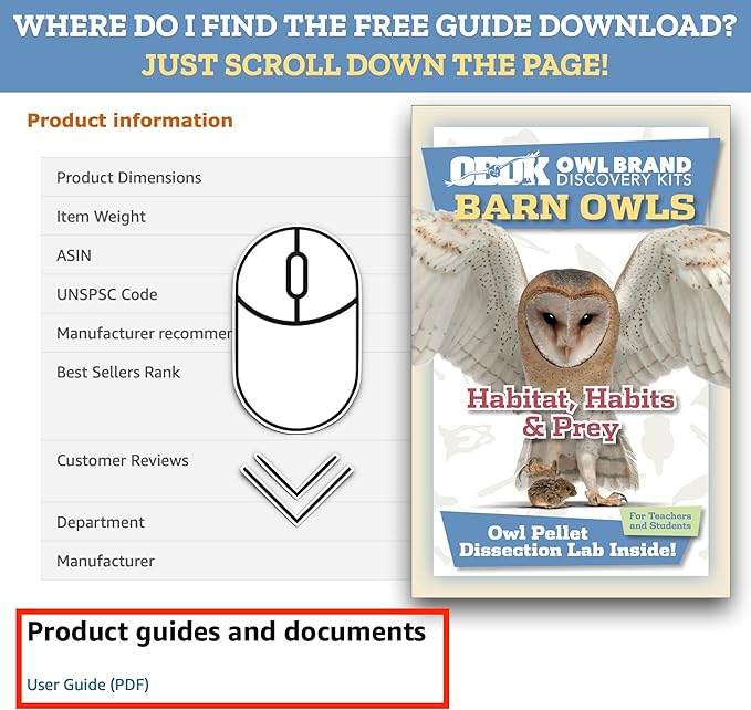 OBDK Barn Owl Pellets for Dissection - 1 Pack Medium Sized (1.5"-2.0") with Tools, Guide and Charts from Owl Brand Discovery Kits