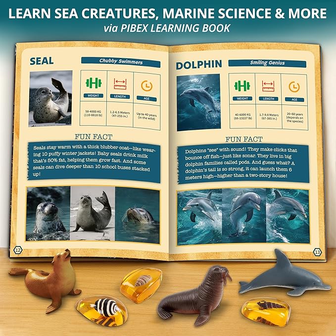 Under-The-Sea Dig Kit – Dig & Discover 18 Real Shell Fossils, Amber Jewelry & Sea Animal Creatures – Ocean Necklace Making & STEM Excavation Activity Toy for Kids Ages 6+